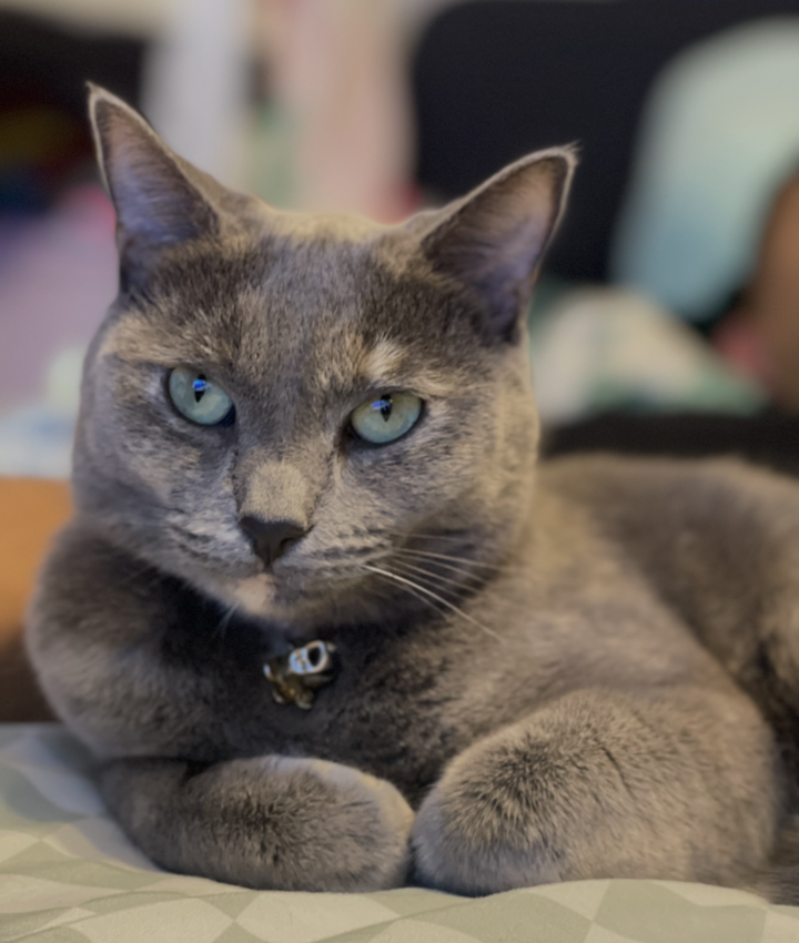 Portrait of Aracely